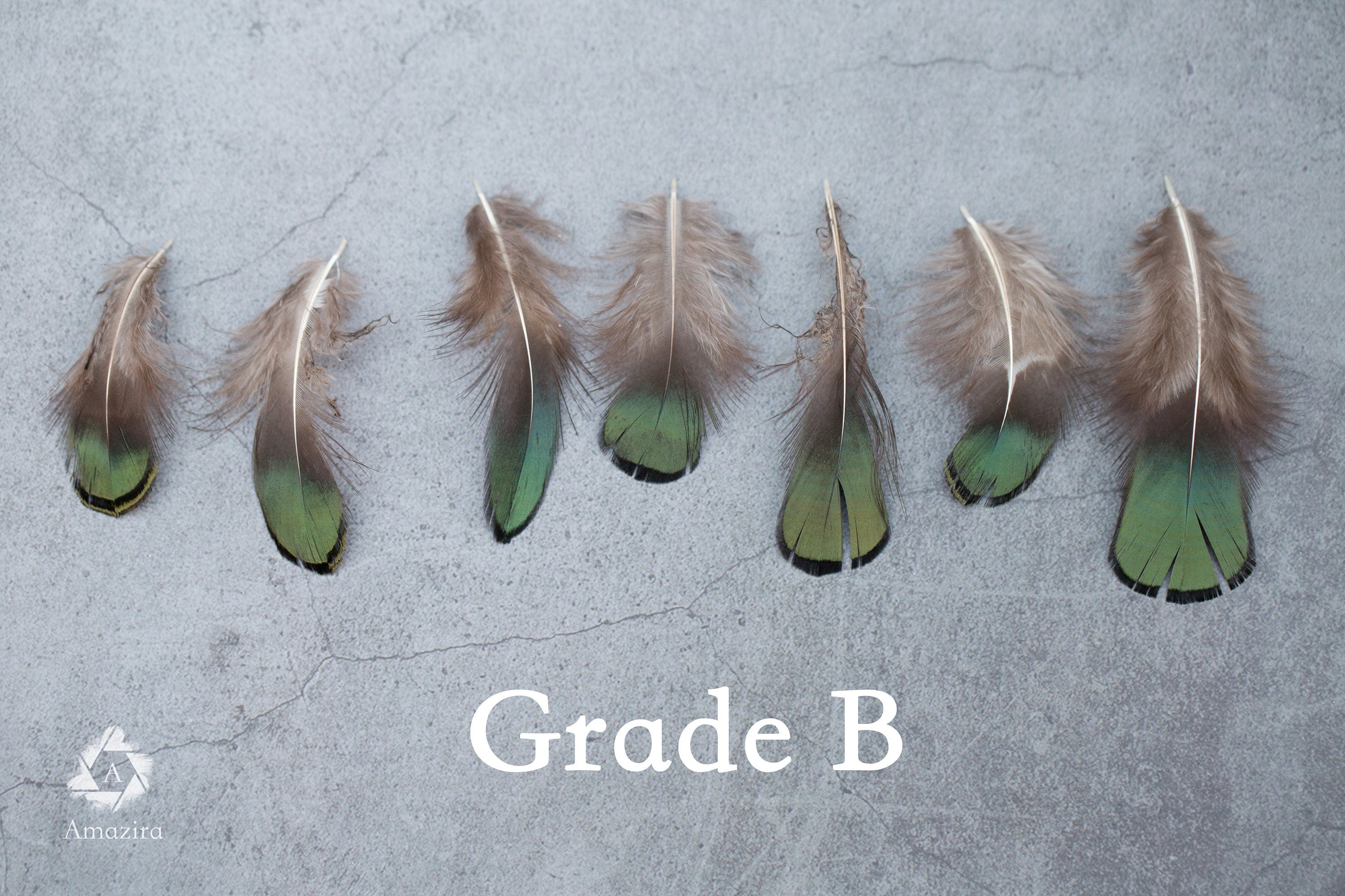 Natural Green Iridescent Pheasant feathers