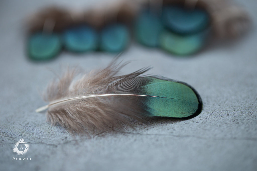 Natural Green Iridescent Pheasant feathers
