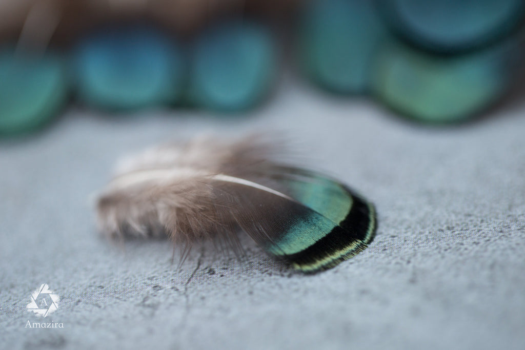 Natural Green Iridescent Pheasant feathers