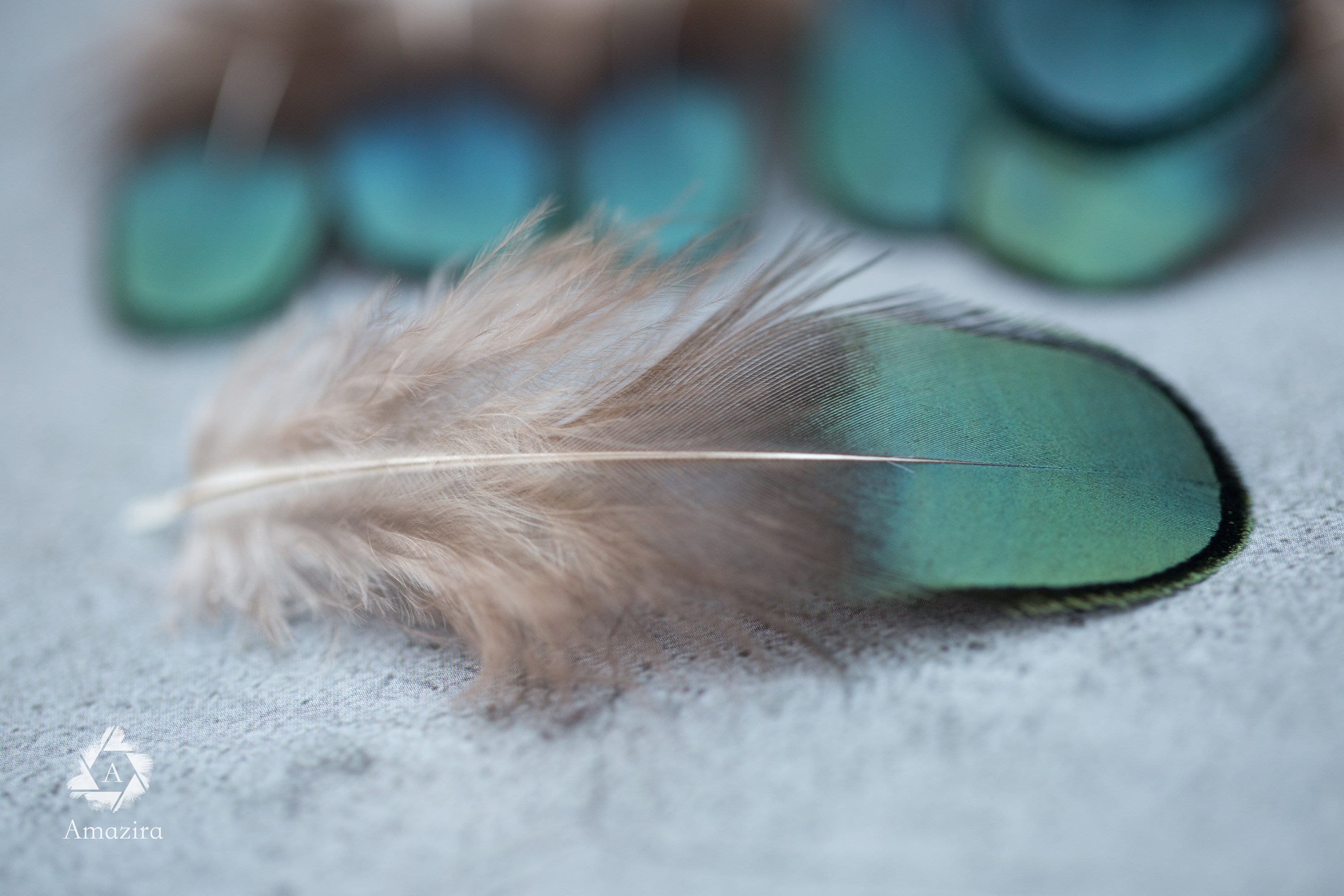 Natural Green Iridescent Pheasant feathers