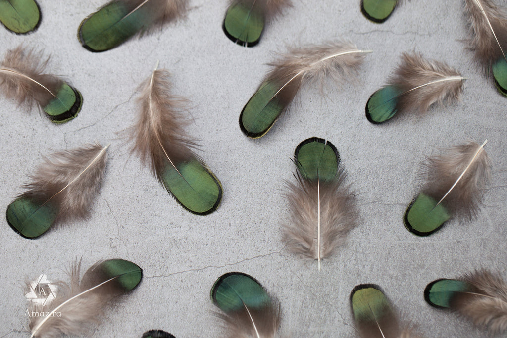 Natural Green Iridescent Pheasant feathers