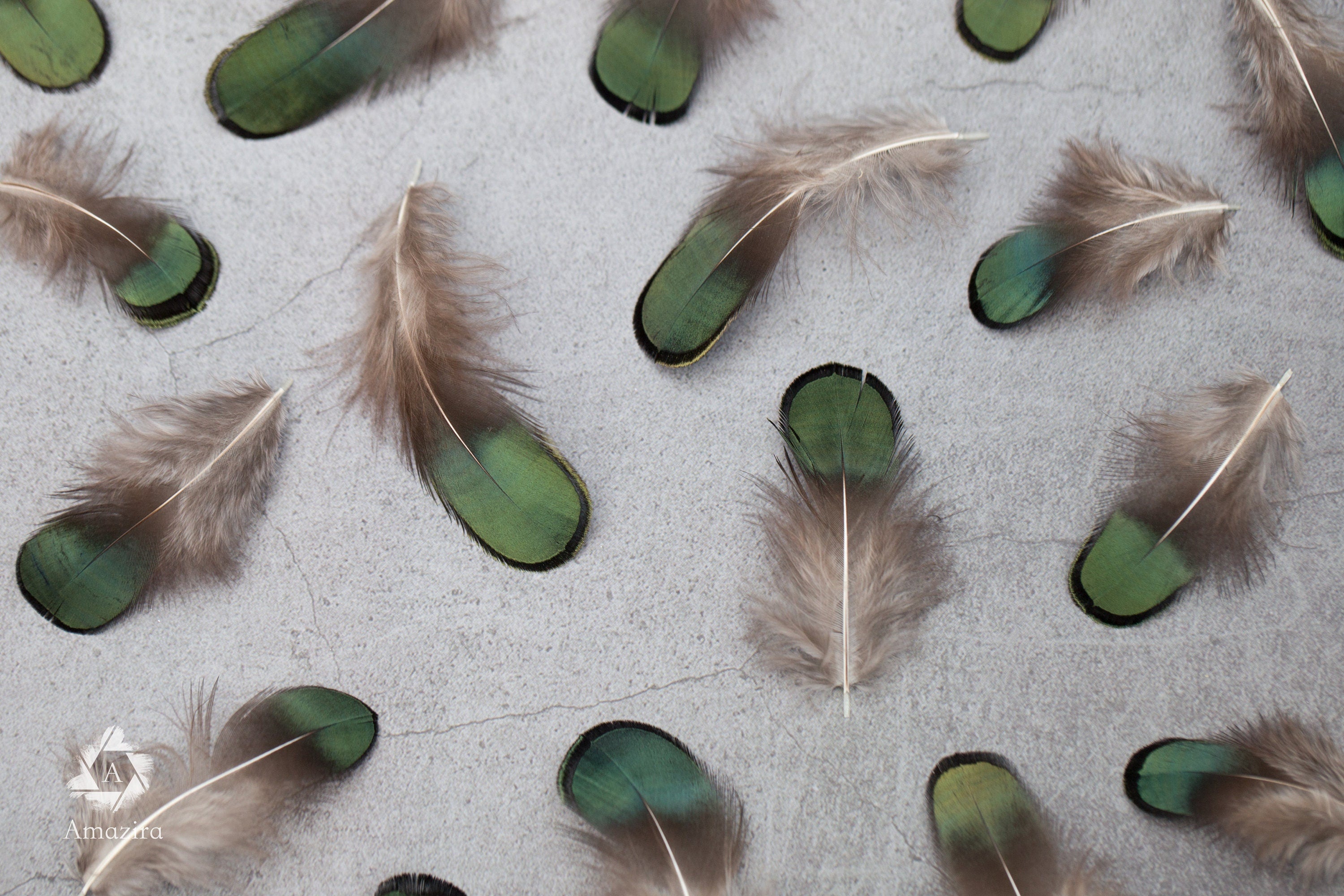 Natural Green Iridescent Pheasant feathers