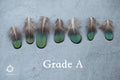 Natural Green Iridescent Pheasant feathers