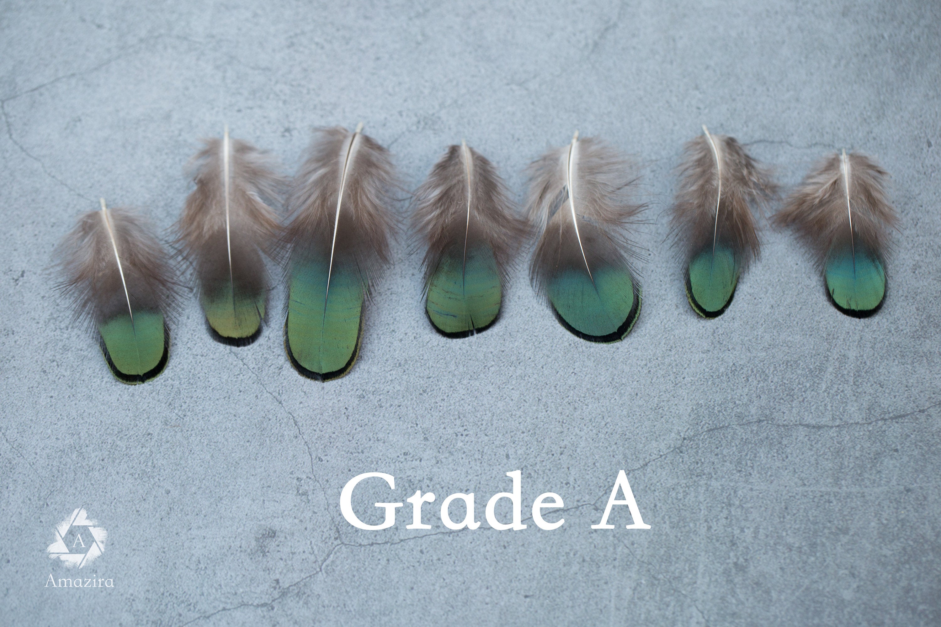 Natural Green Iridescent Pheasant feathers