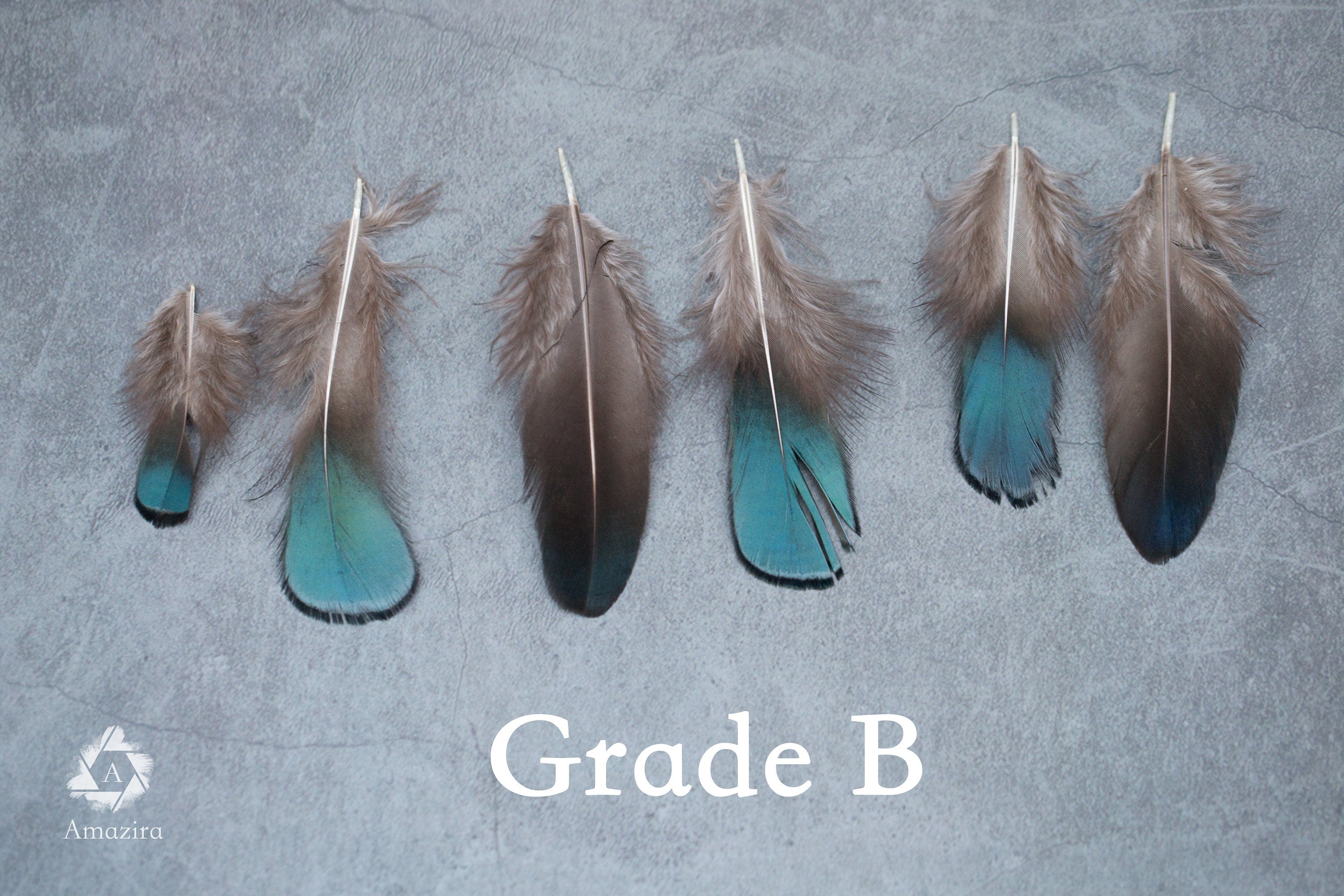 Plumas de faisán iridiscentes azules y verdes naturales