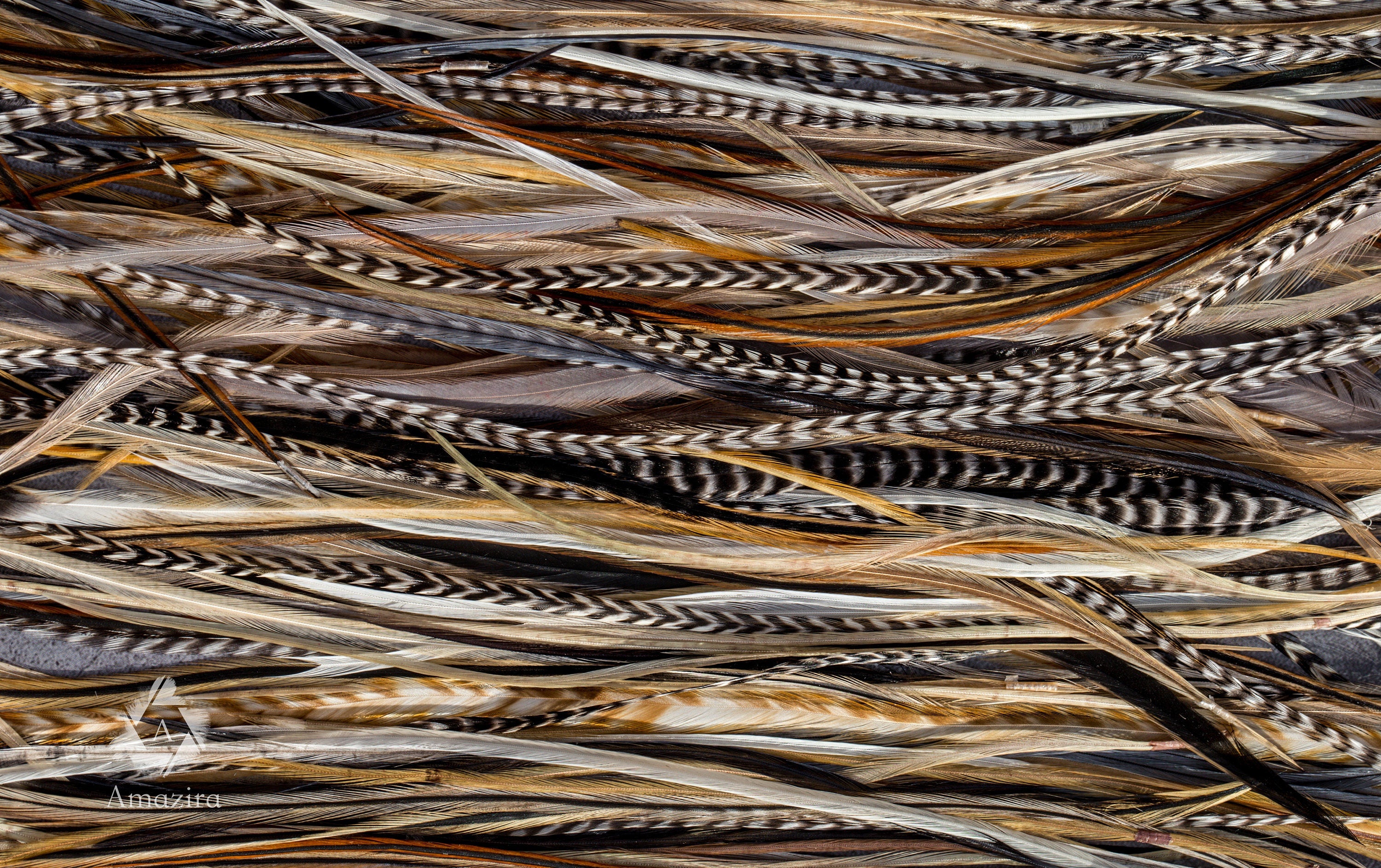 Natural grizzly feathers, 20-25 cm 8-11'