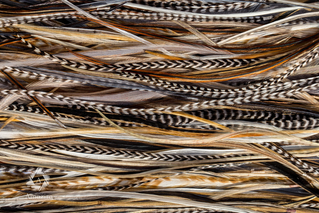 Natural grizzly feathers, 20-25 cm 8-11'