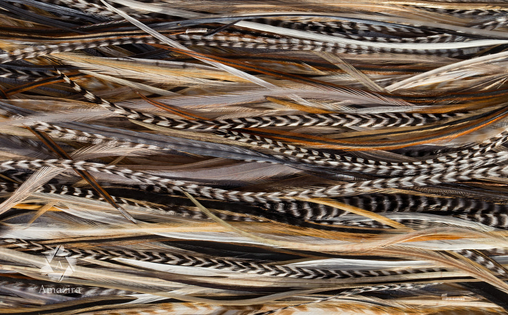 Natural grizzly feathers, 20-25 cm 8-11'