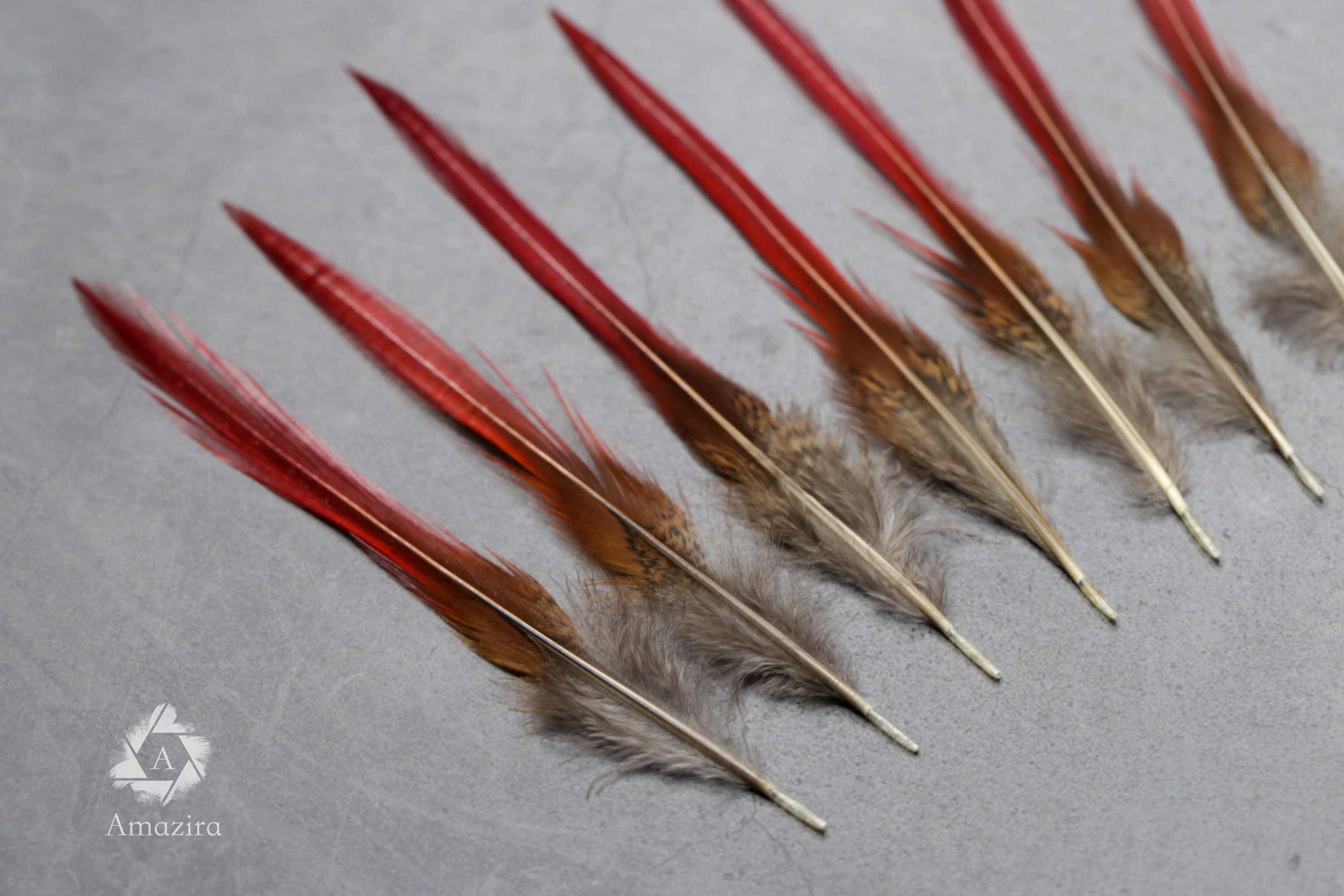 Natural Red Tip Pheasant feathers 3-4 inches, 8-10 cm