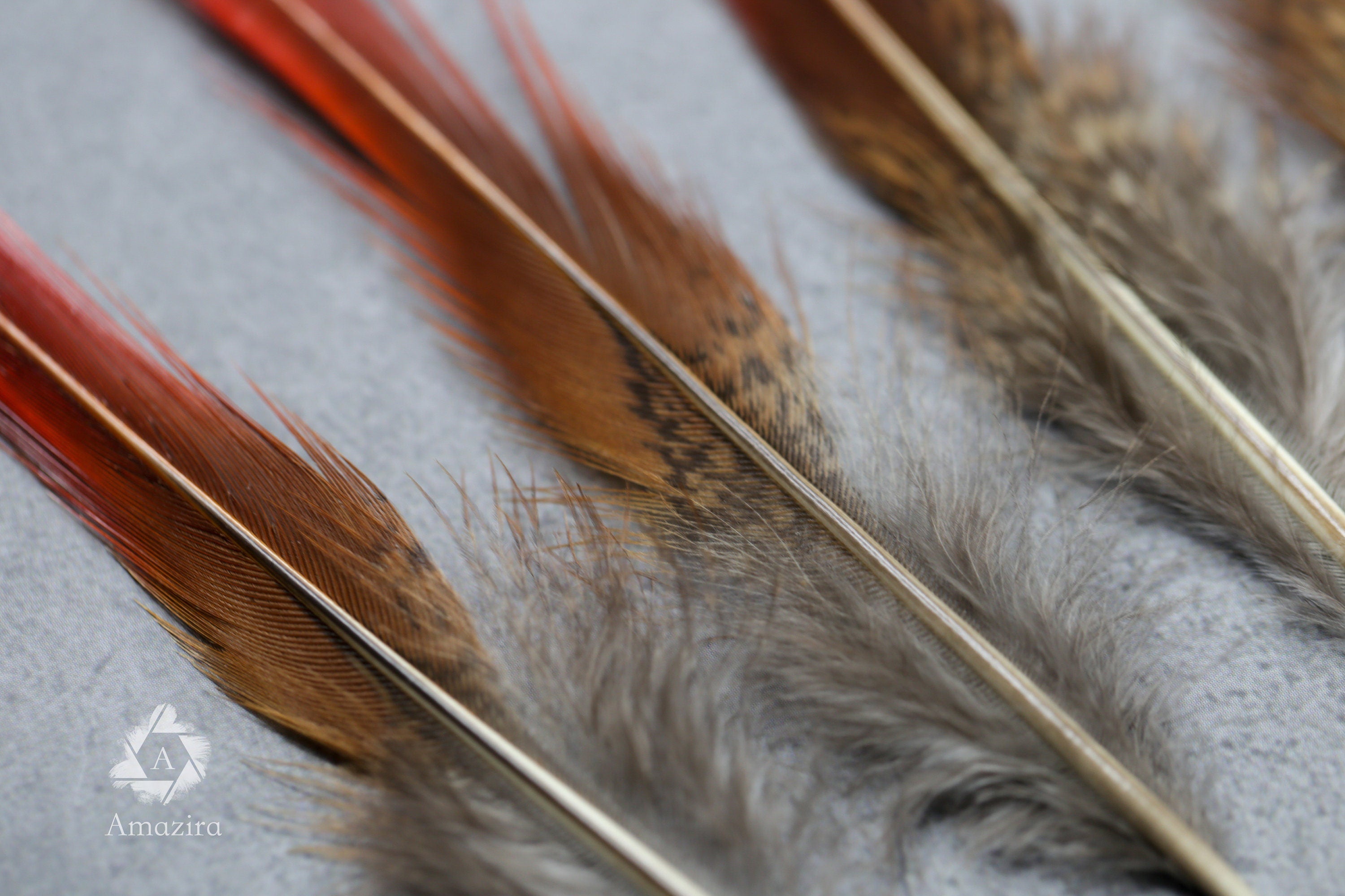 Natural Red Tip Pheasant feathers 3-4 inches, 8-10 cm
