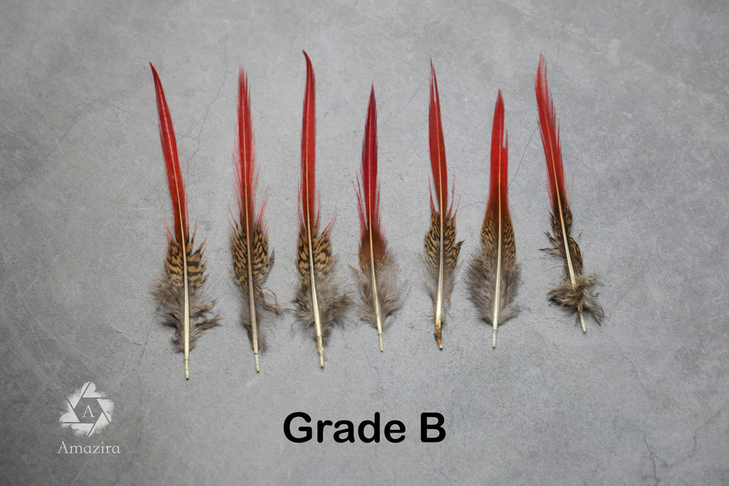 Natural Red Tip Pheasant feathers 3-4 inches, 8-10 cm