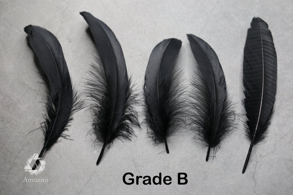 Large black feathers, 6 -7 inches
