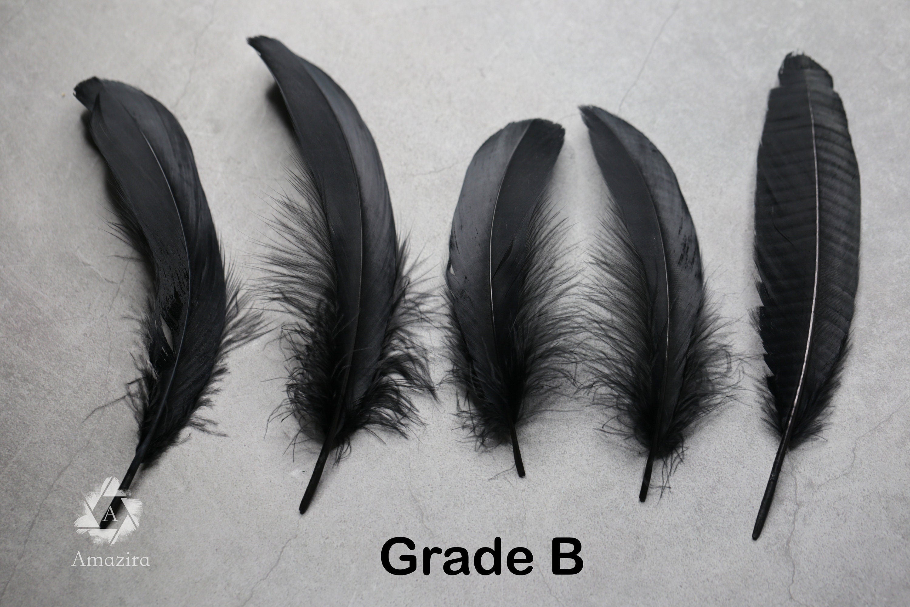 Large black feathers, 6 -7 inches