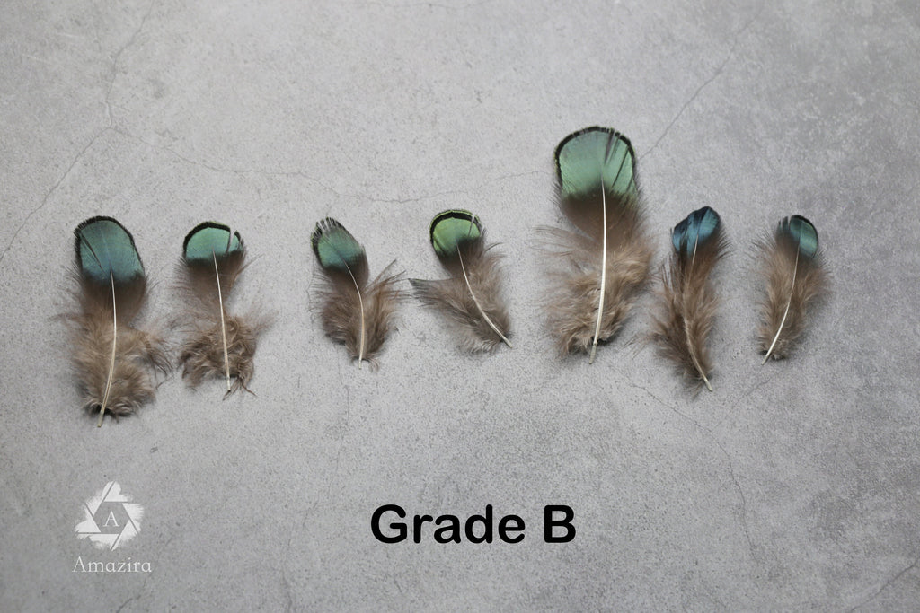 Natural Green Iridescent Pheasant feathers