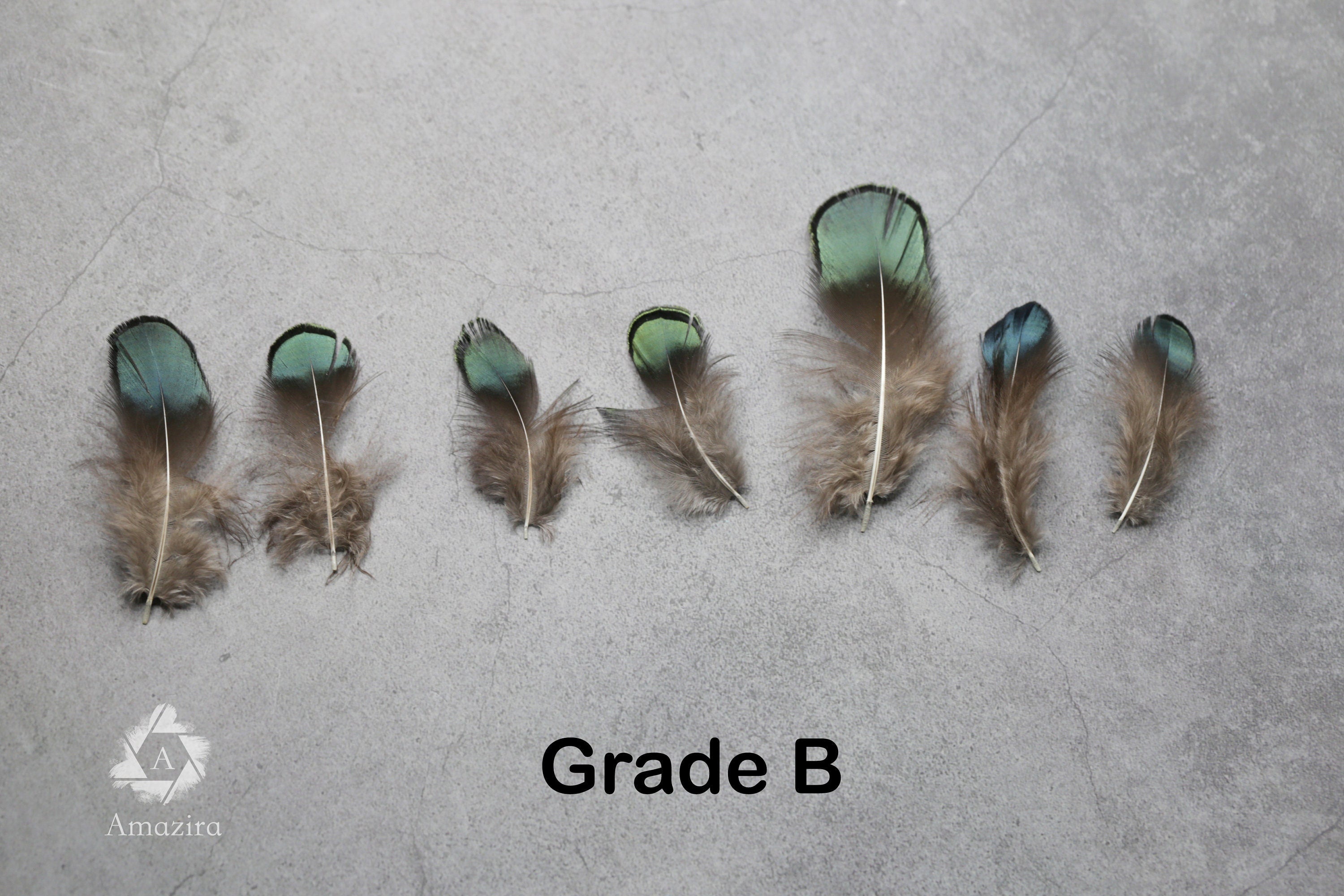 Natural Green Iridescent Pheasant feathers