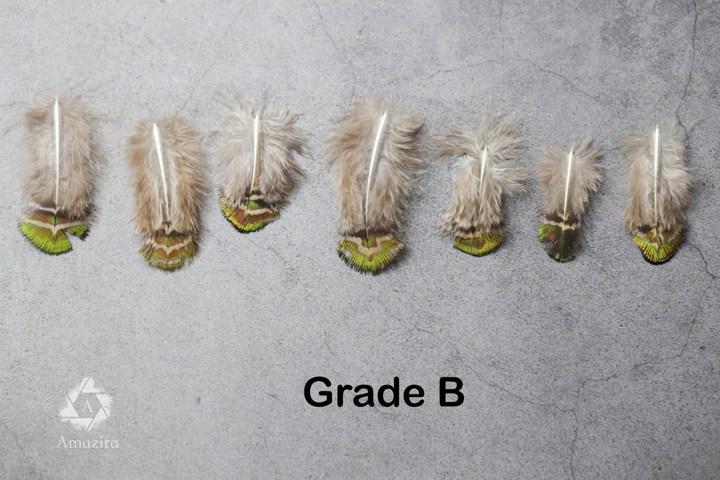 Mini Peacock feathers 1-3 inches, 2-5 cm