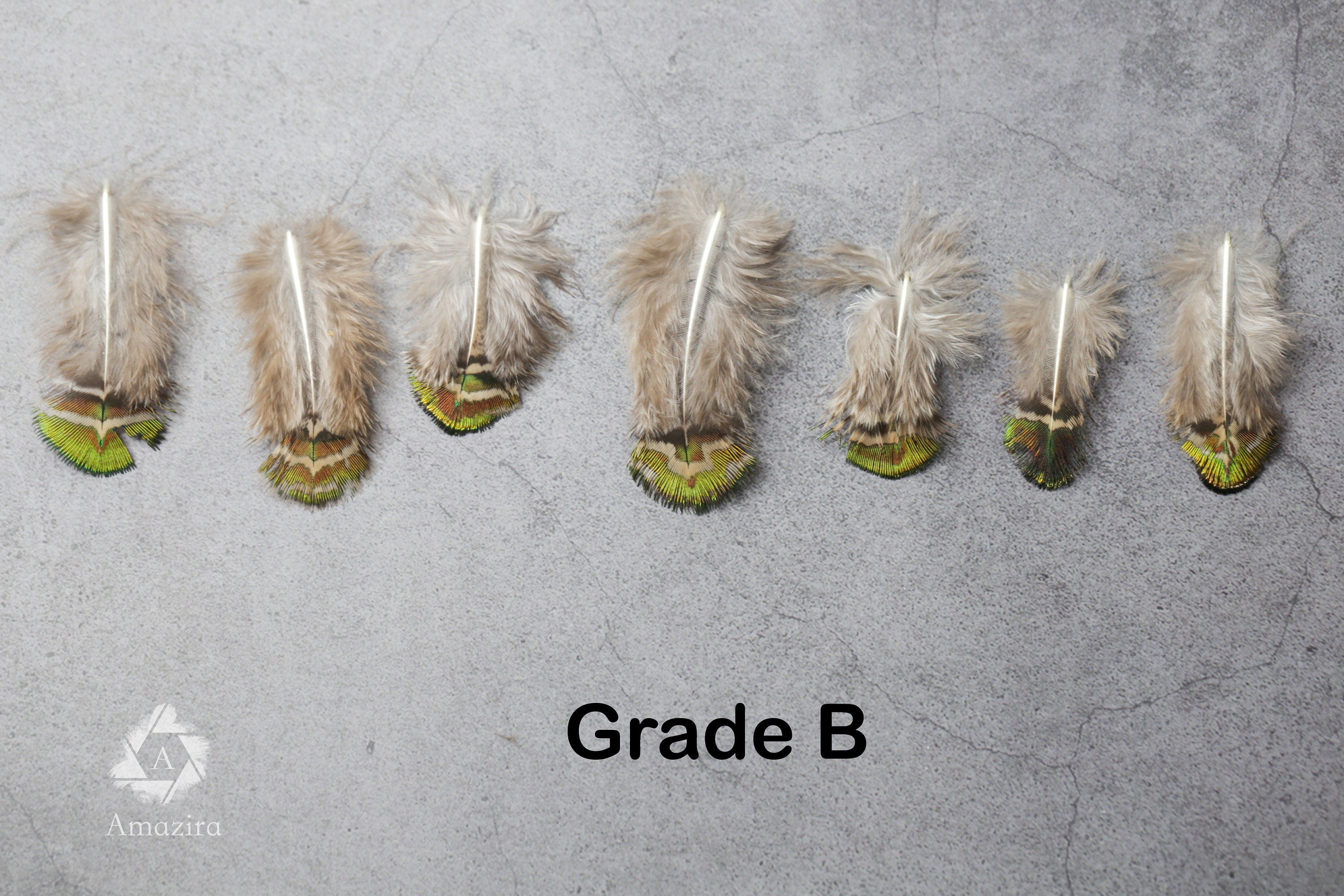 Mini Peacock feathers 1-3 inches, 2-5 cm