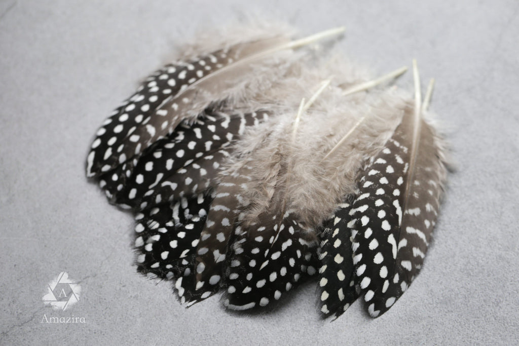 Plumes de Pintade Noires & Blanches, 10-15 cm,