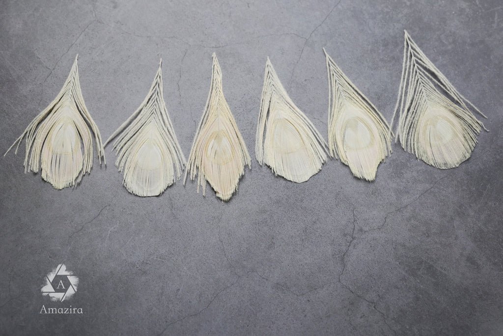 White Peacock feathers, 4-5 - 7-10 cm