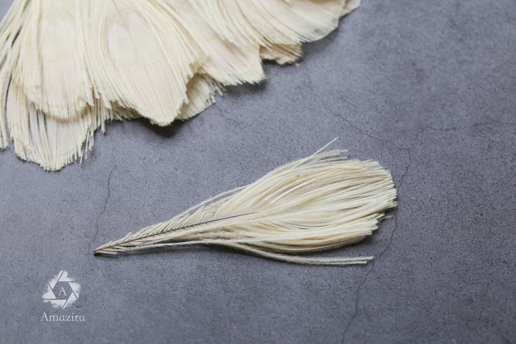 White Peacock feathers, 4-5 - 7-10 cm