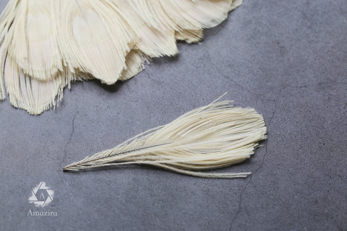 White Peacock feathers, 4-5 - 7-10 cm