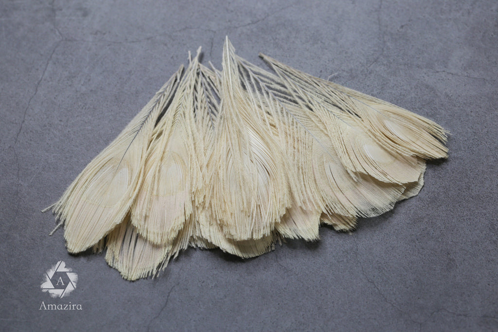 White Peacock feathers, 4-5 - 7-10 cm