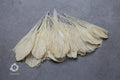 White Peacock feathers, 4-5 - 7-10 cm