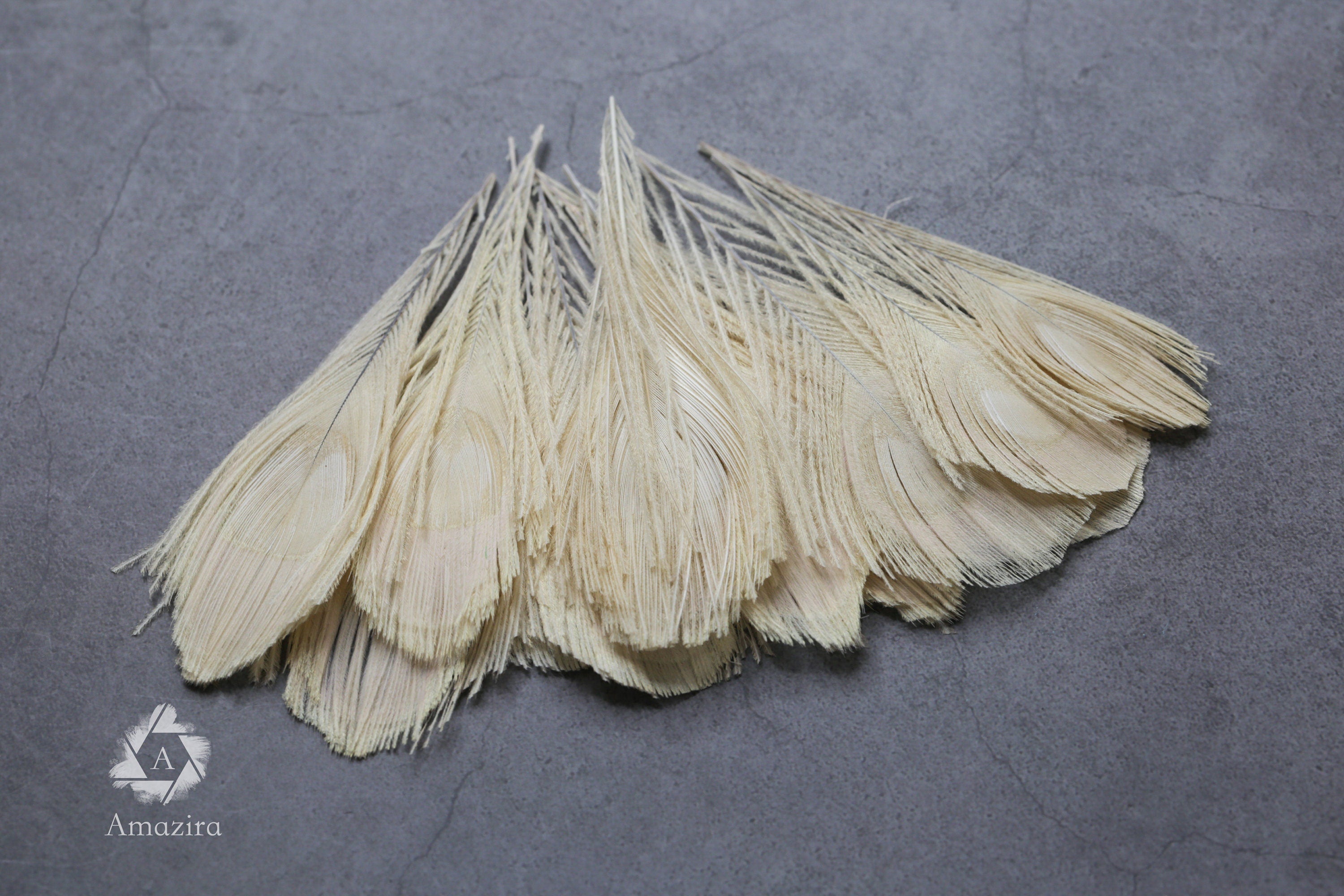 White Peacock feathers, 4-5 - 7-10 cm