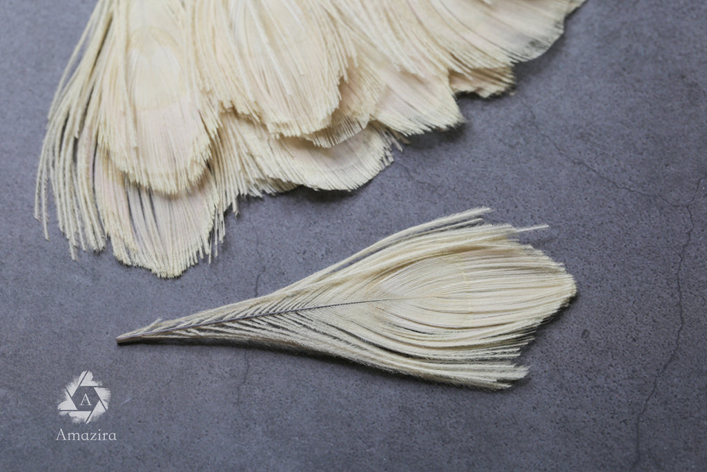White Peacock feathers, 4-5 - 7-10 cm
