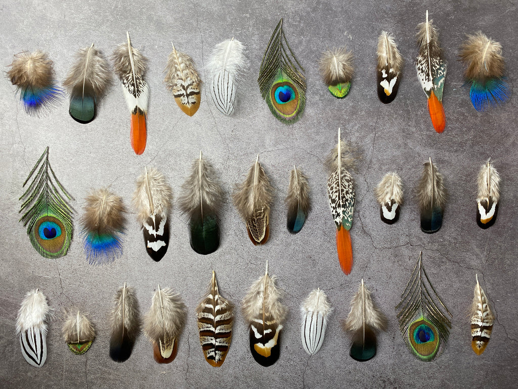 20 Mixed feather bag, Pheasant & Peacock Collection