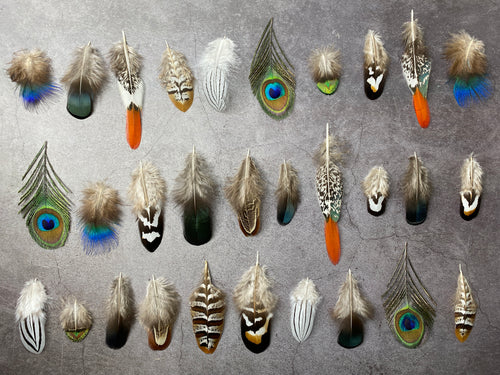20 Mixed feather bag, Pheasant & Peacock Collection