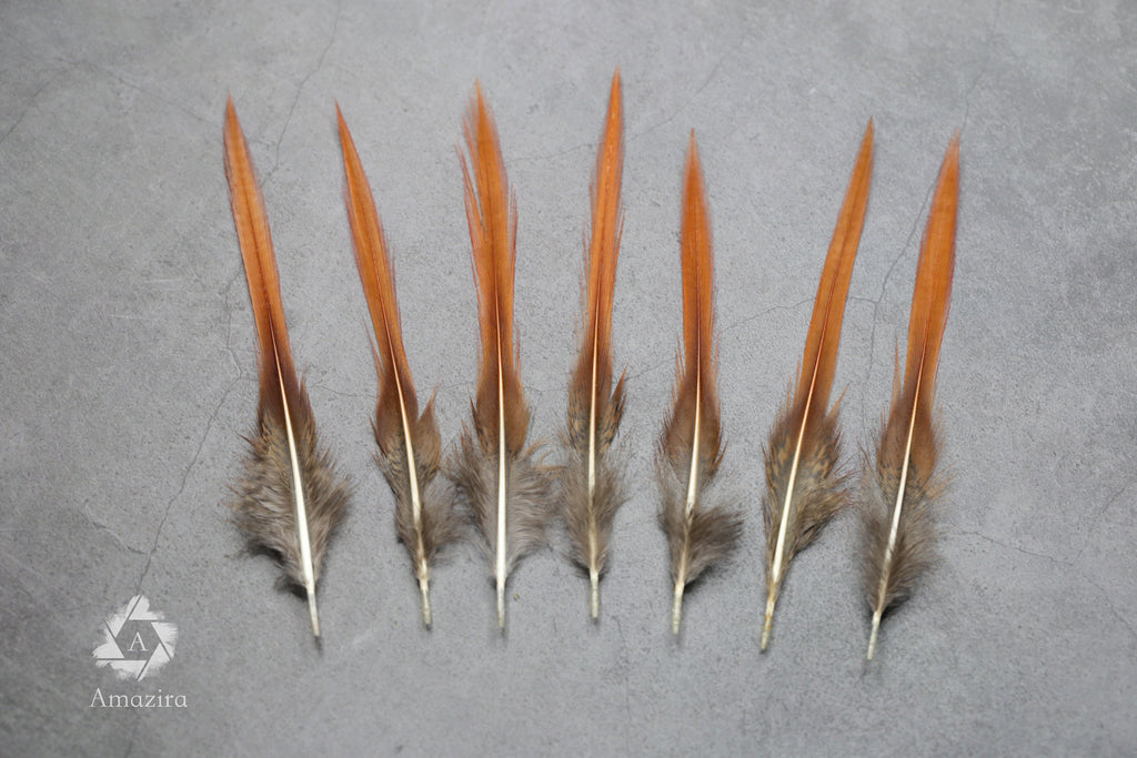 Natural Red Tip Pheasant feathers 3-4 inches, 8-10 cm