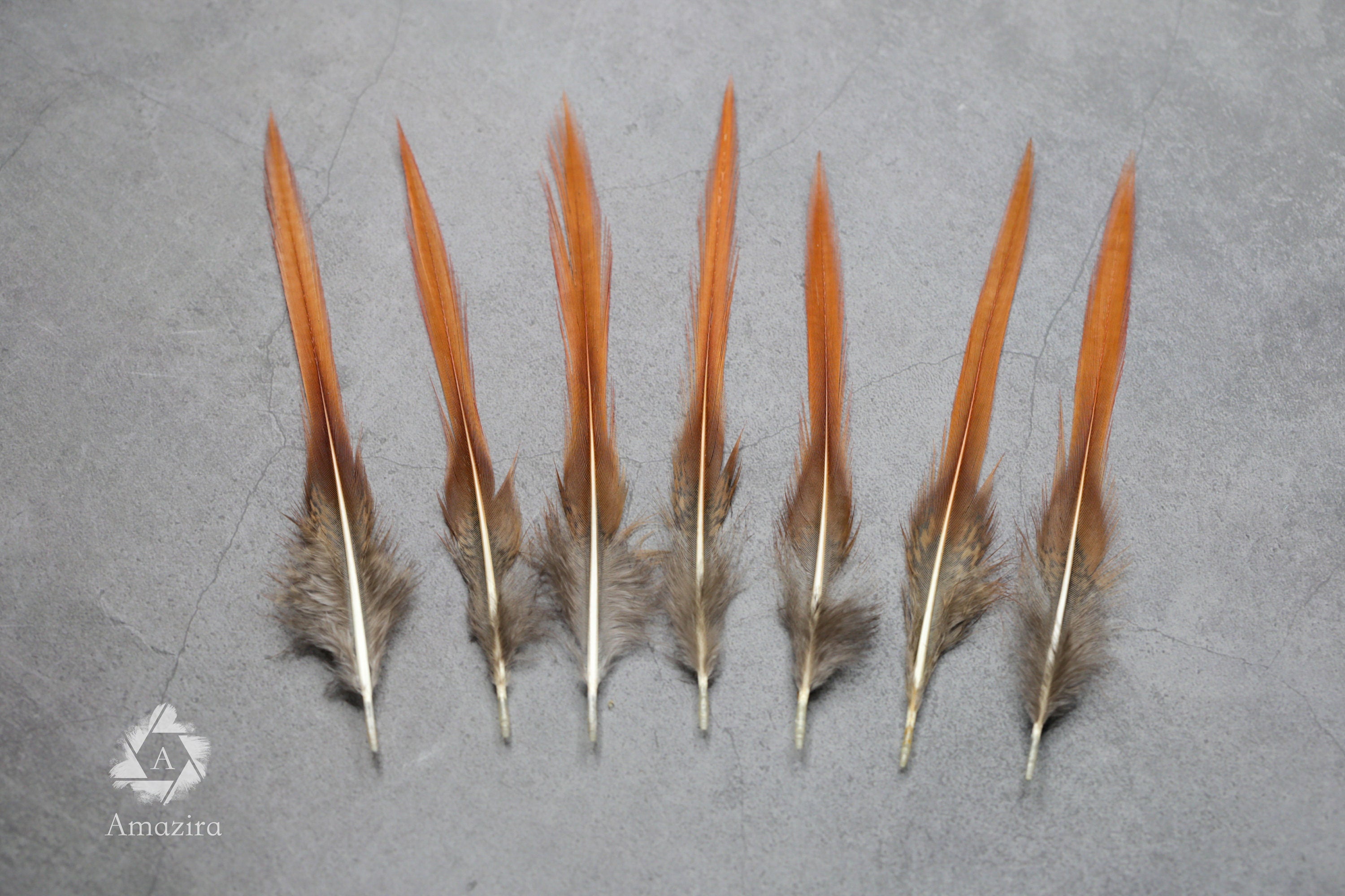 Natural Red Tip Pheasant feathers 3-4 inches, 8-10 cm