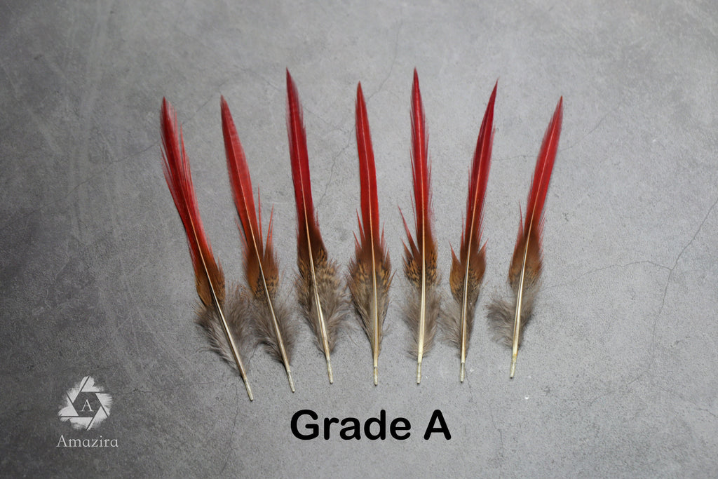 Natural Red Tip Pheasant feathers 3-4 inches, 8-10 cm