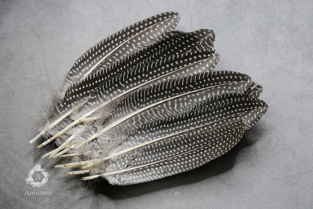 Large Guinea fowl Feathers, 15-19 cm - 6-8 inches