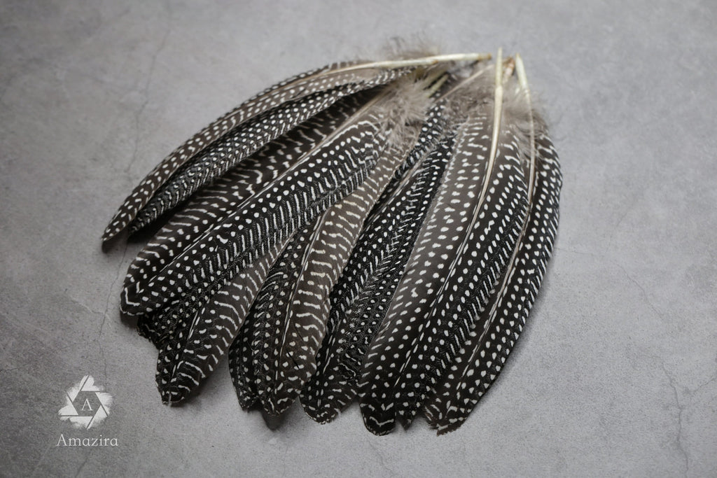 Large Guinea fowl Feathers, 15-19 cm - 6-8 inches