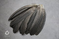 Large Guinea fowl Feathers, 15-19 cm - 6-8 inches
