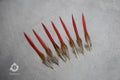 Natural Red Tip Pheasant feathers 3-4 inches, 8-10 cm
