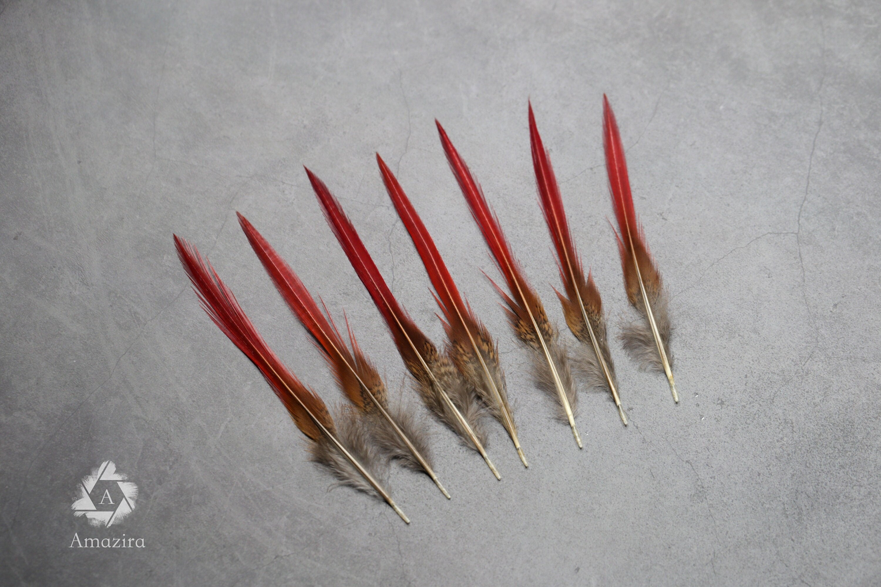 Natural Red Tip Pheasant feathers 3-4 inches, 8-10 cm