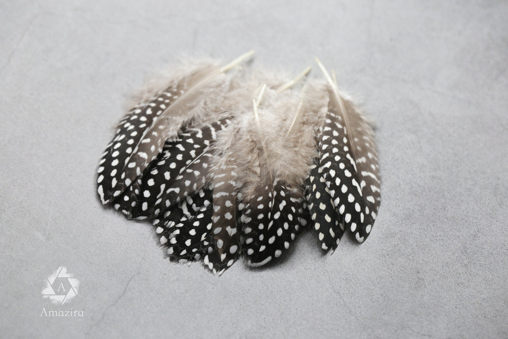 Plumes de Pintade Noires & Blanches, 10-15 cm,