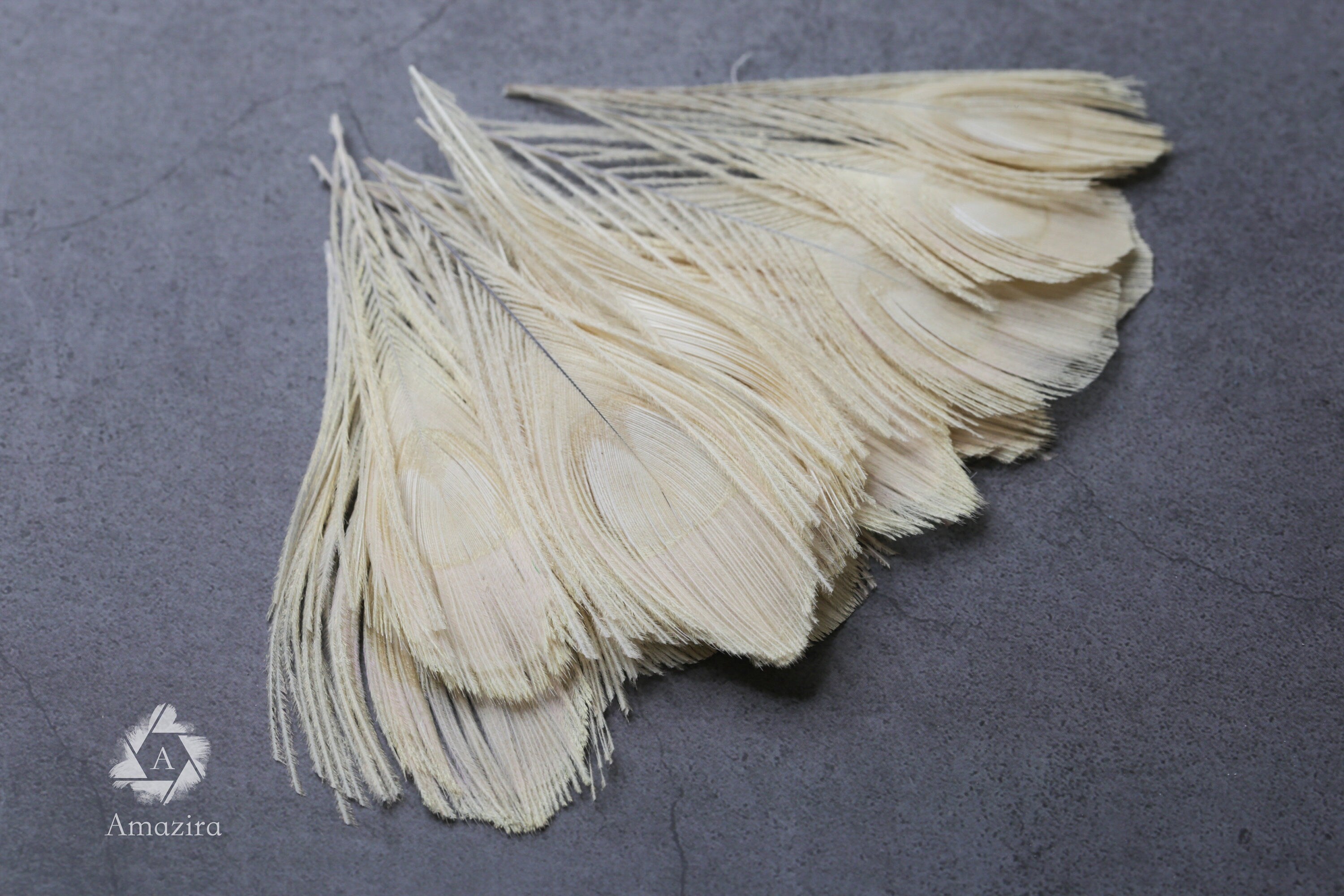 White Peacock feathers, 4-5 - 7-10 cm