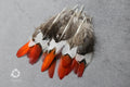 Small Natural Red Tip Golden Pheasant feathers, 1 inch -  2 cm