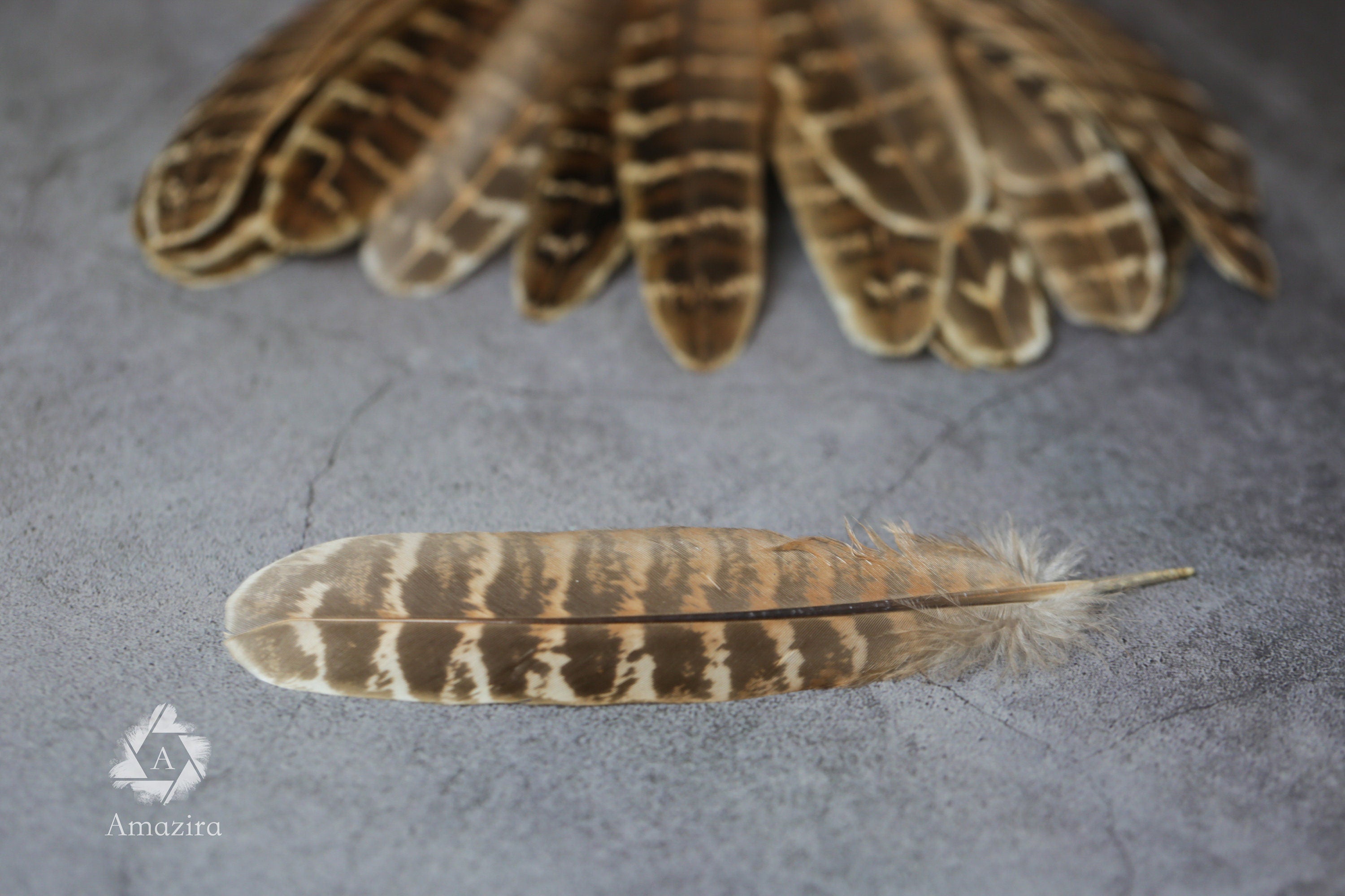 CLEARANCE! Stripped Brown Pheasant feathers, 13-16cm, 5-7", Medium sized natural brown stripped feather, DIY makers crafters, home decor,