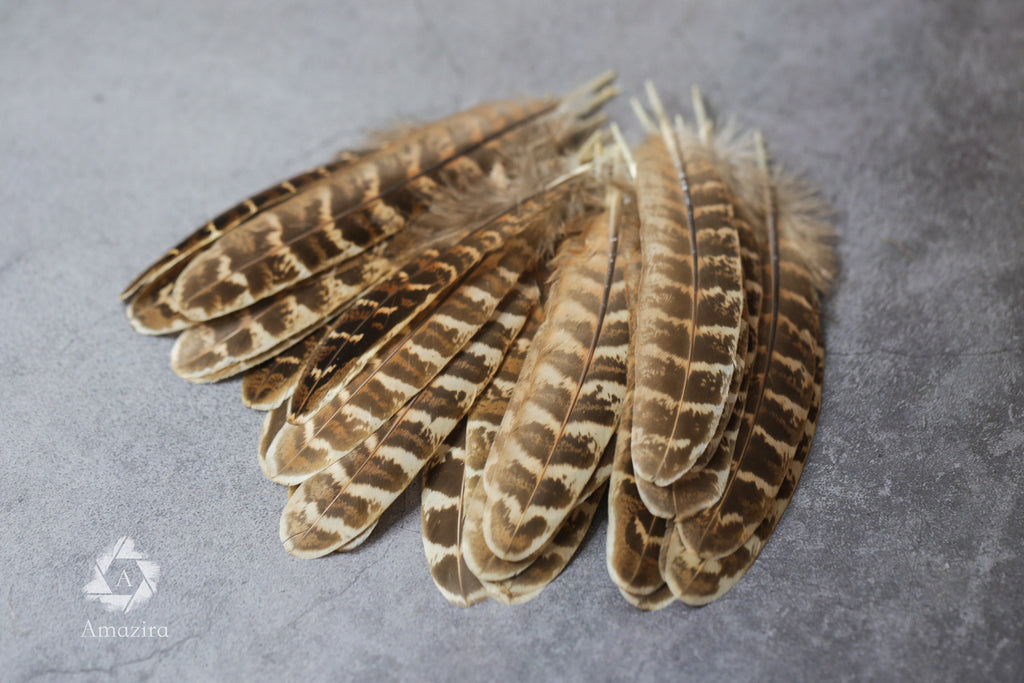CLEARANCE! Stripped Brown Pheasant feathers, 13-16cm, 5-7", Medium sized natural brown stripped feather, DIY makers crafters, home decor,