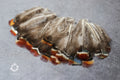 Loose red natural pheasant feathers, 1-3", 3-7 cm