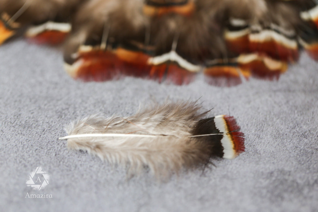 Loose red natural pheasant feathers, 1-3", 3-7 cm