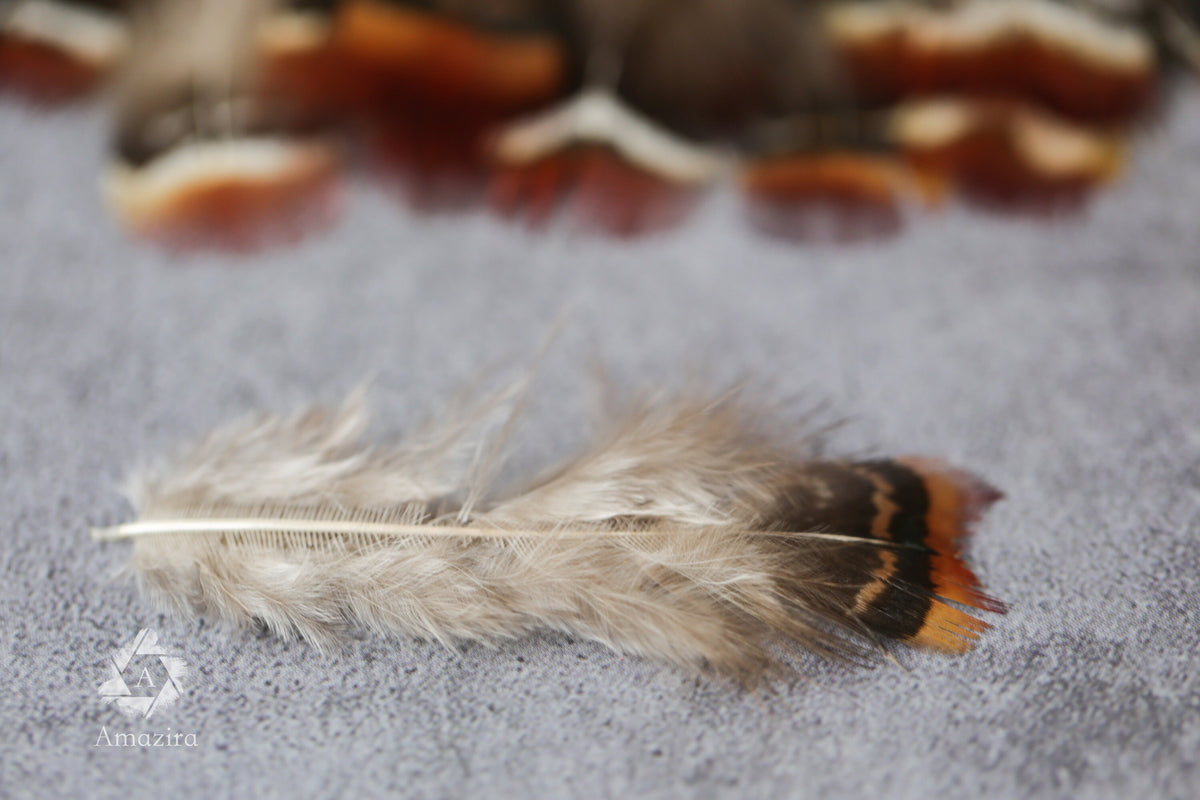 Loose red natural pheasant feathers, 1-3", 3-7 cm