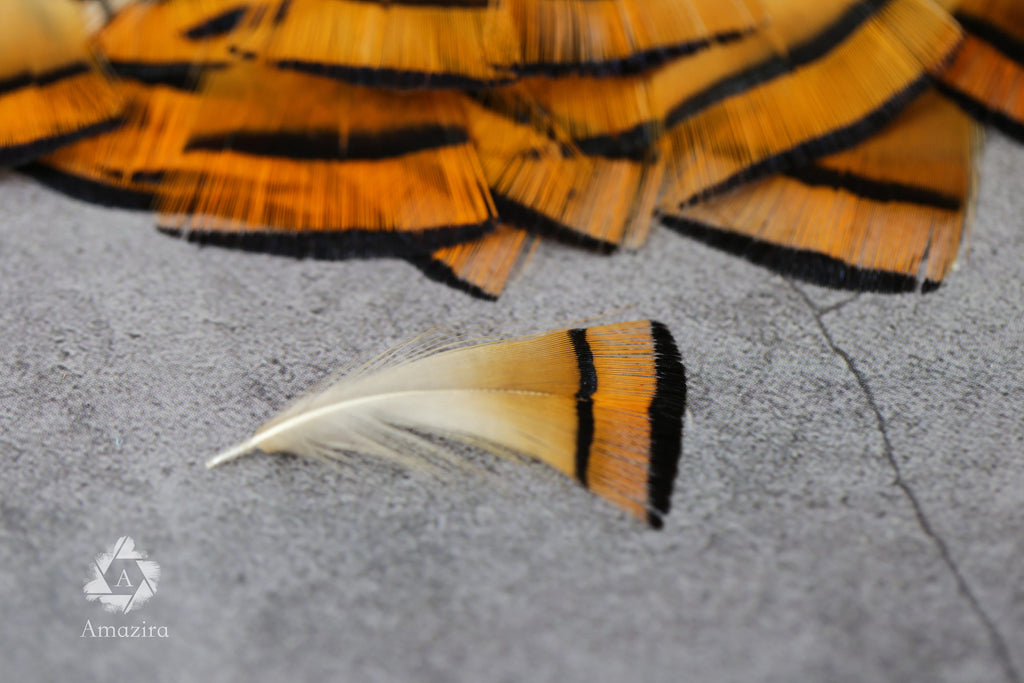 Golden orange pheasant feathers - 3-7cm, 1-3", FREE SHIPPING available, Natural feathers for crafts DIY makers, hat makers, dream catchers