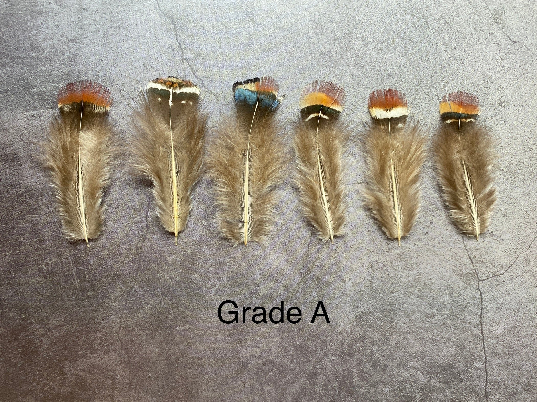 Loose red natural pheasant feathers, 1-3", 3-7 cm