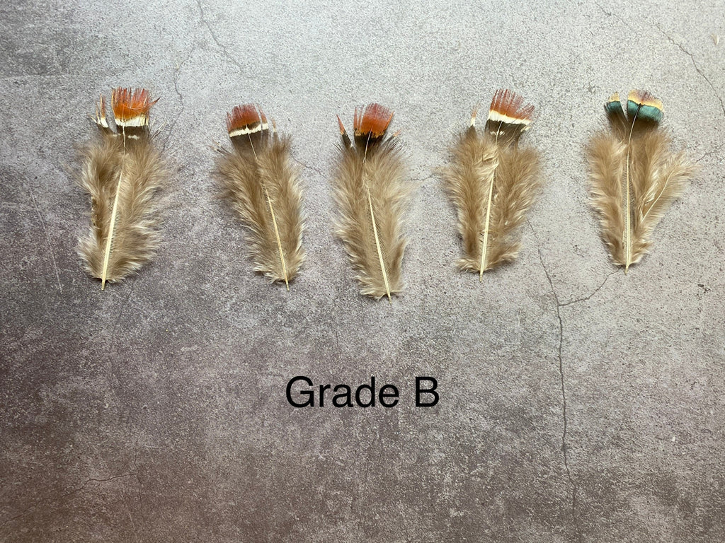Loose red natural pheasant feathers, 1-3", 3-7 cm